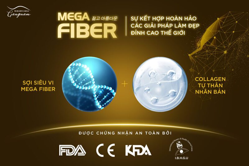 mega-fiber-tre-hoa-tu-than-tu-ai-3-1499x999